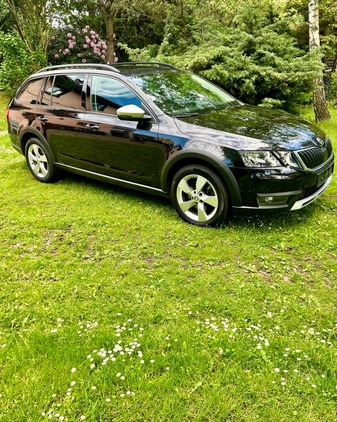 Skoda Octavia cena 79990 przebieg: 130000, rok produkcji 2019 z Września małe 781